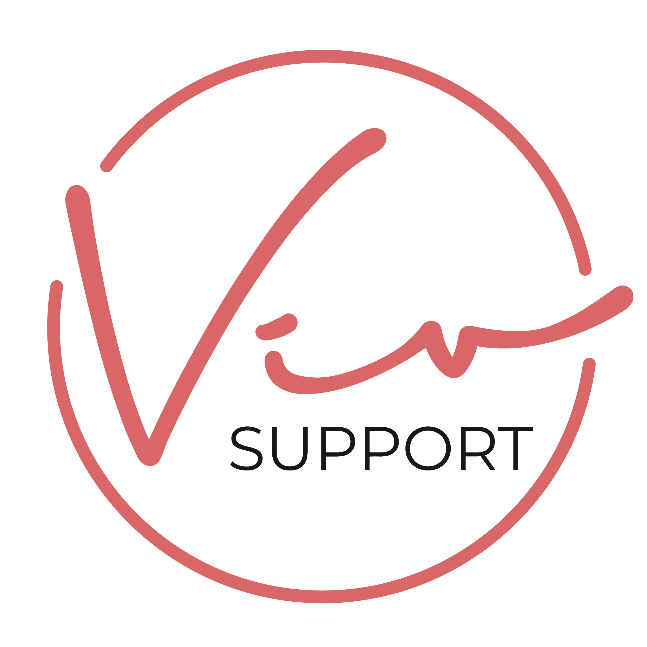 Viv Support