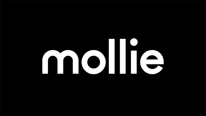 Betalen met Mollie? Zo implementeer je het in WooCommerce!